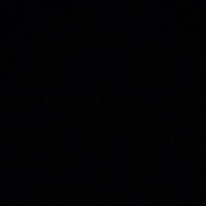 Meet your Posher, Sammy